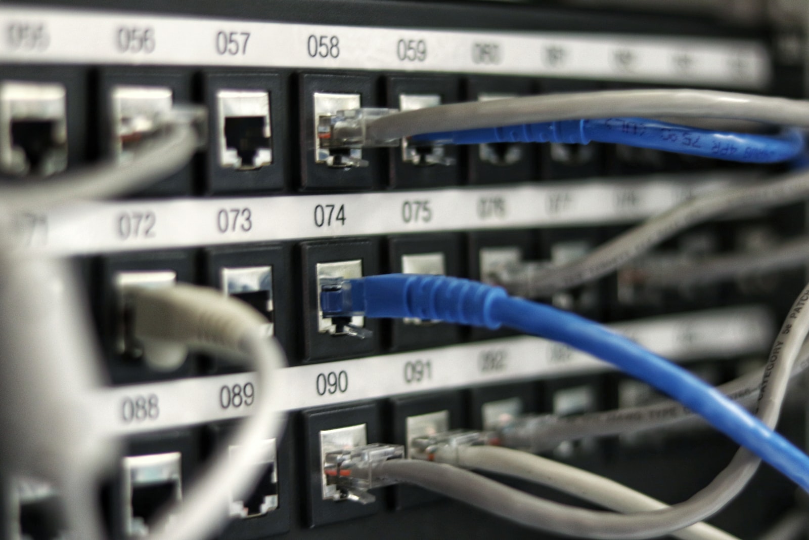 Photo by Jordan Harrison blue UTP cord